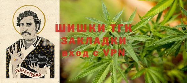 ECSTASY Алзамай