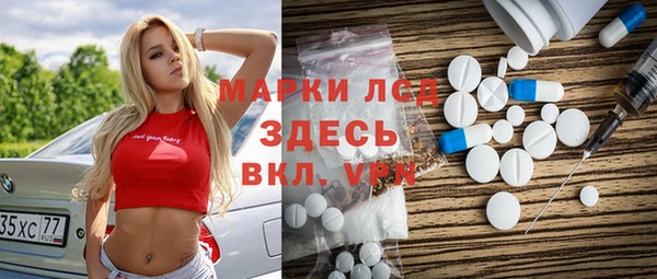 ECSTASY Алзамай