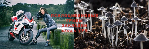 ешки Алексеевка