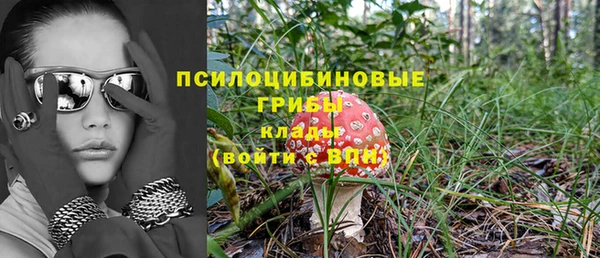 ешки Алексеевка