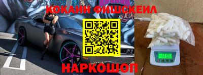 дмт Кингисепп