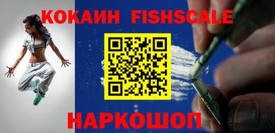 дмт Кингисепп