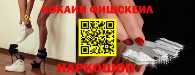 дмт Кингисепп