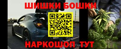 дмт Кингисепп