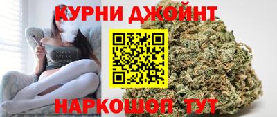 дмт Кингисепп