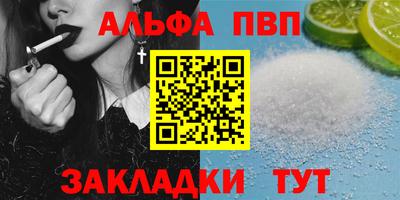 дмт Кингисепп