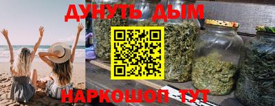 дмт Кингисепп