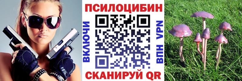 гидра ССЫЛКА  Биробиджан  Галлюциногенные грибы прущие грибы 