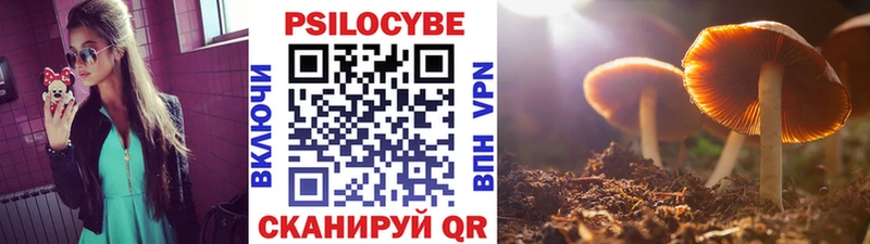 Галлюциногенные грибы GOLDEN TEACHER Биробиджан