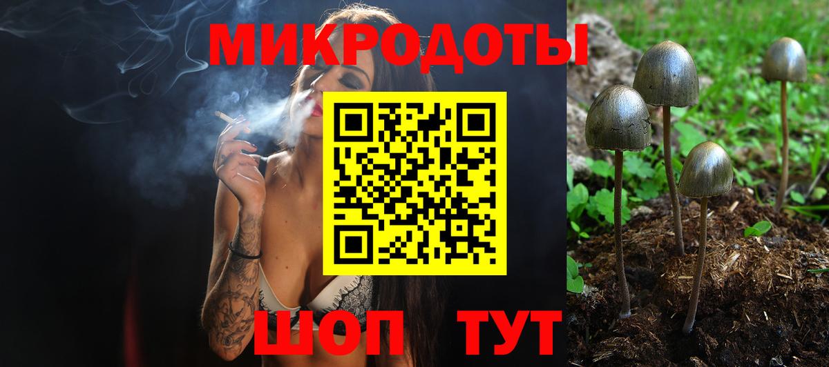 Биробиджан  как найти   Вход с VPN  Галлюциногенные грибы MAGIC MUSHROOMS  Псилоцибиновые грибы мицелий 